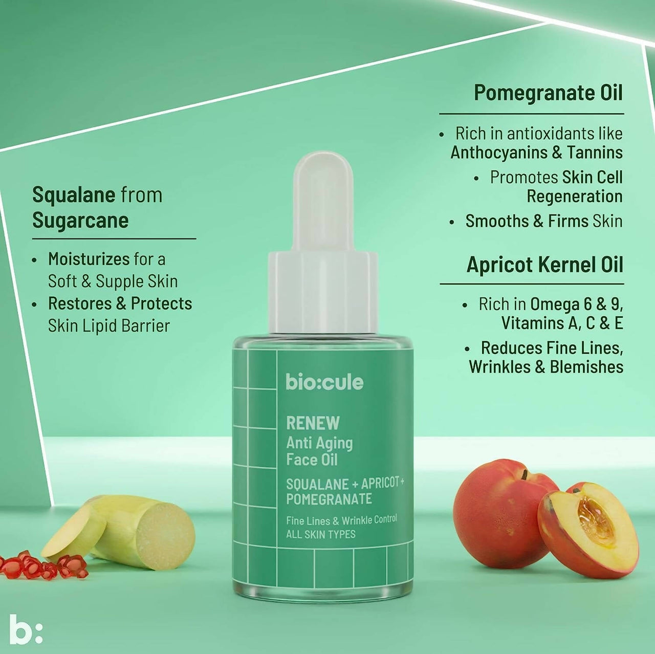 https://cdn.shopify.com/s/files/1/1857/6931/products/oUGLYfNdXm.jpg?v=1686052976