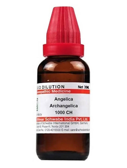 https://cdn.shopify.com/s/files/1/1857/6931/products/oUnlyA3Wae.jpg?v=1640930294