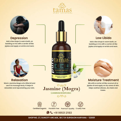 https://cdn.shopify.com/s/files/1/1857/6931/products/oVVSp7ErFj.jpg?v=1626402547