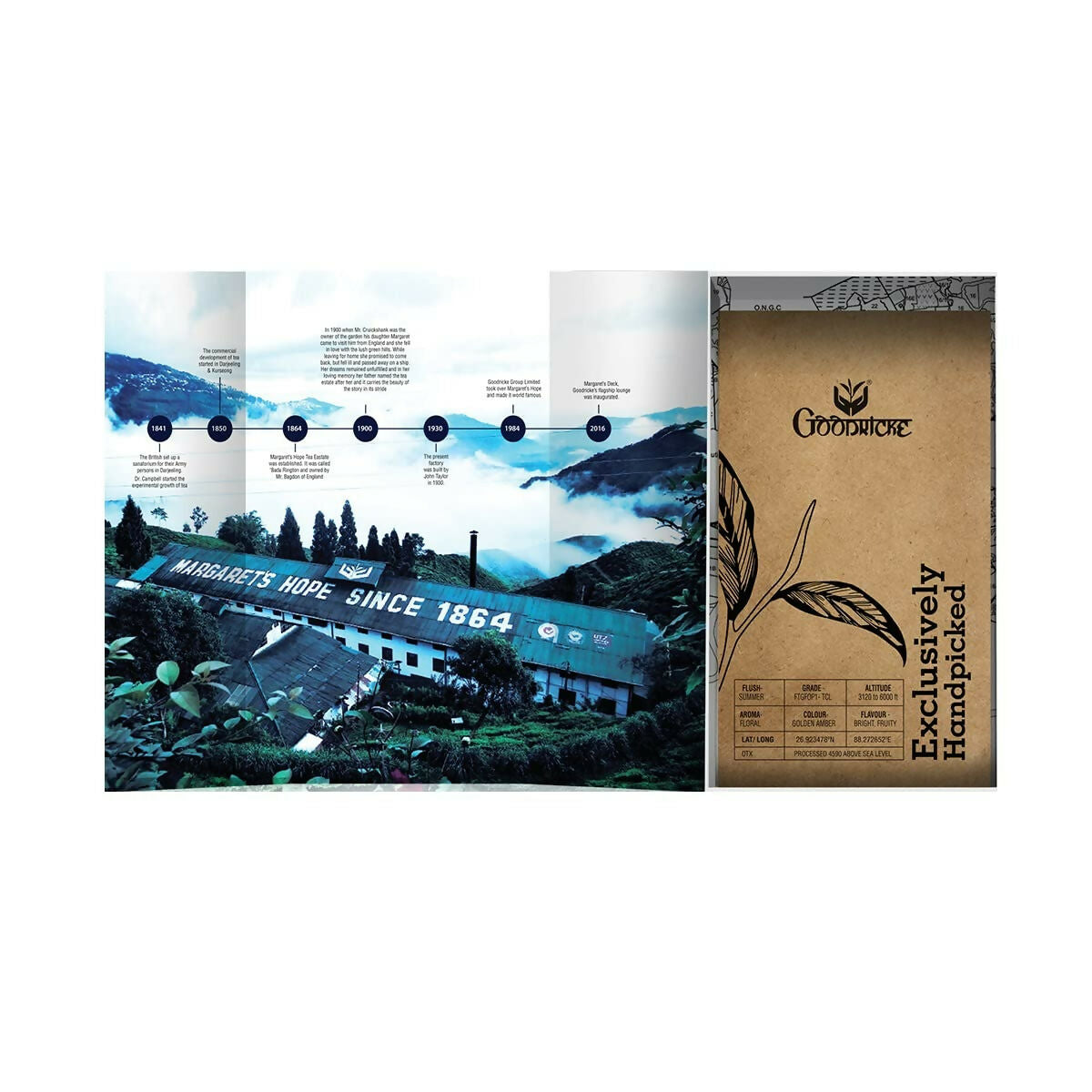 https://cdn.shopify.com/s/files/1/1857/6931/files/oXvN6CG2a7.jpg?v=1711186084