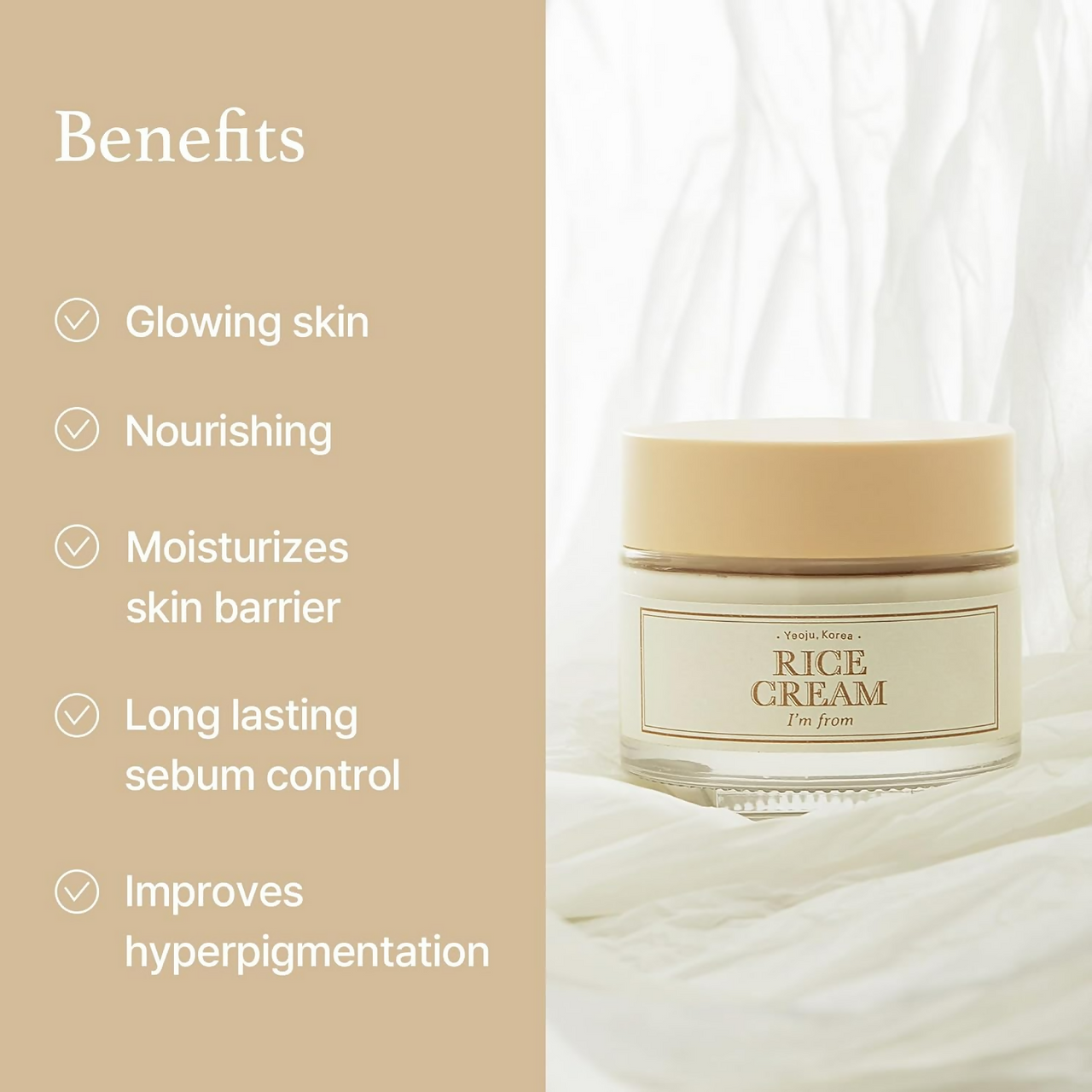 https://cdn.shopify.com/s/files/1/1857/6931/files/oYdQx1pO5n.png?v=1731064954