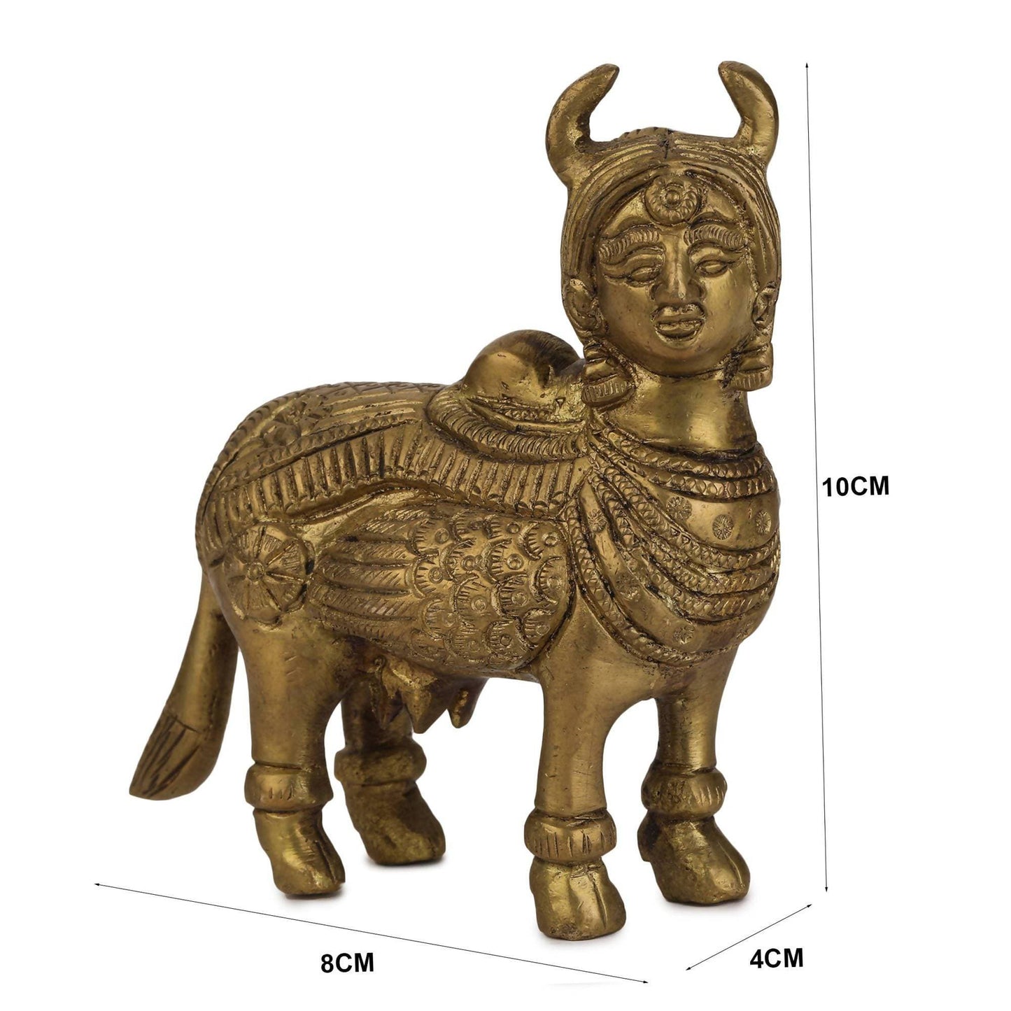 https://cdn.shopify.com/s/files/1/1857/6931/products/oZB8mMyRn9.jpg?v=1613911195