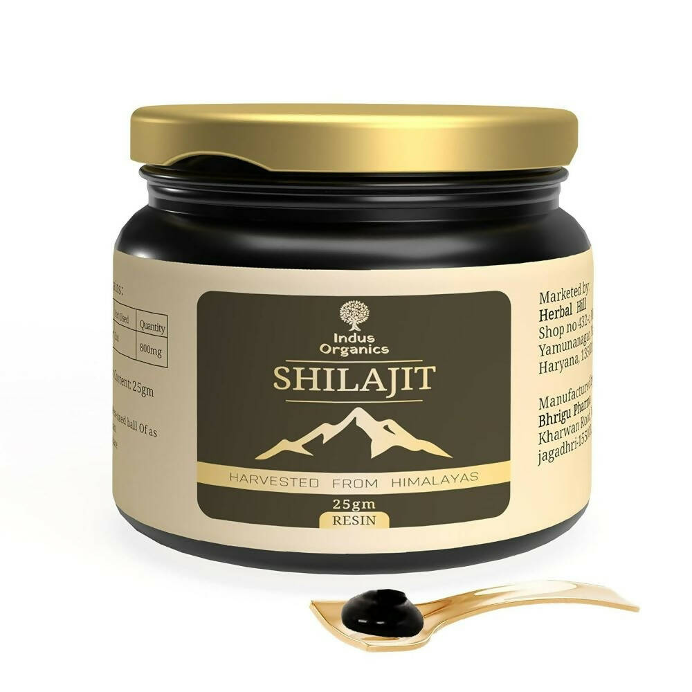 https://cdn.shopify.com/s/files/1/1857/6931/products/obcVboBFGu.jpg?v=1762396335