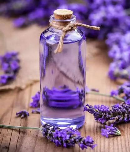 https://cdn.shopify.com/s/files/1/1857/6931/products/oexDW6LIKb.jpg?v=1633055663