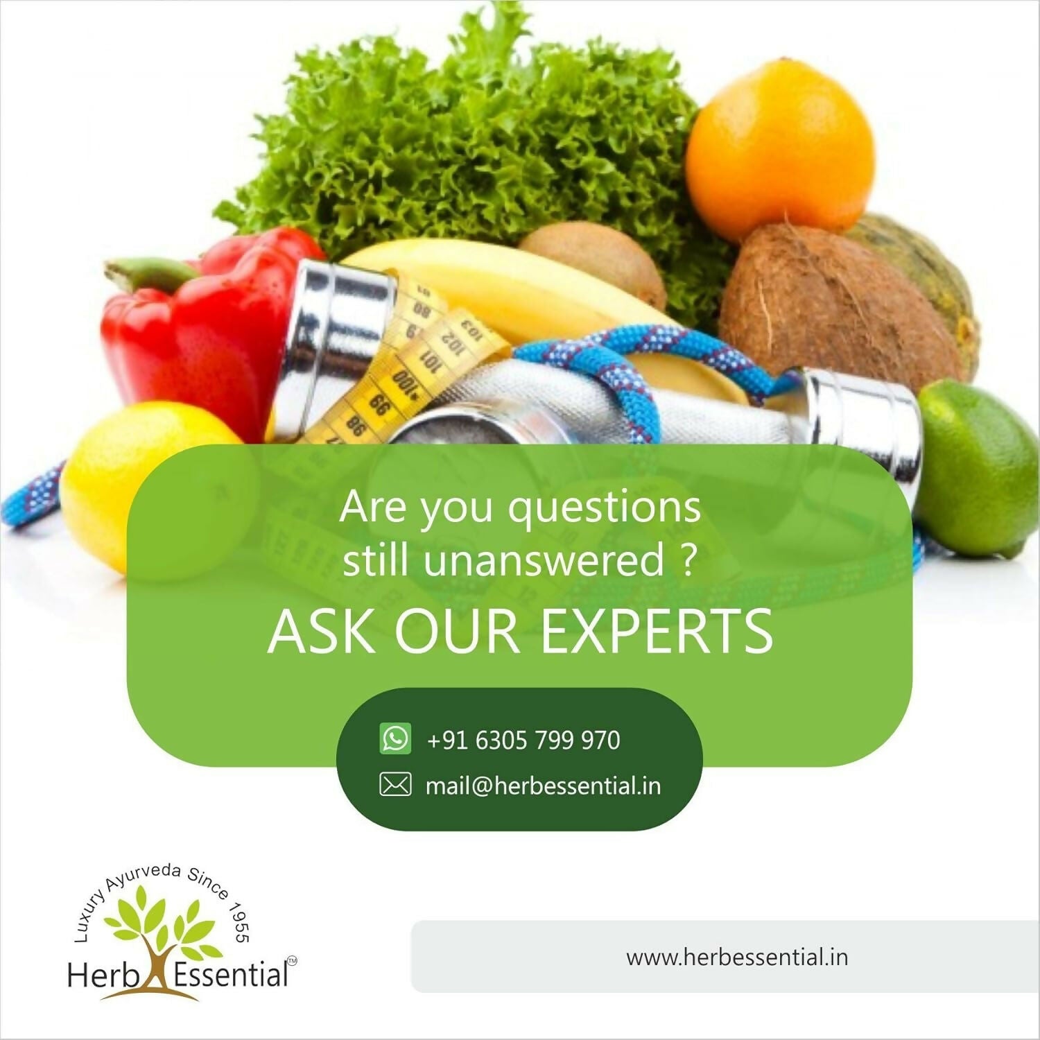 https://cdn.shopify.com/s/files/1/1857/6931/files/ofHLK0ajUM.jpg?v=1771674113