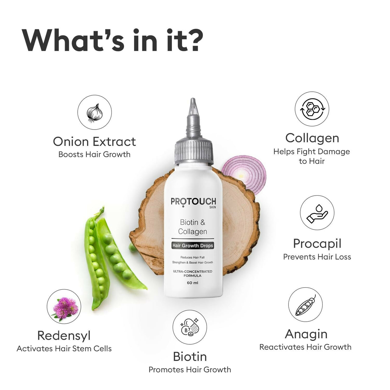 https://cdn.shopify.com/s/files/1/1857/6931/files/olMDCkd9Sr.jpg?v=1729769907