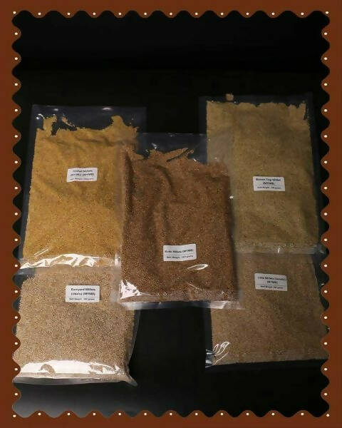 https://cdn.shopify.com/s/files/1/1857/6931/products/olhKaTlyMj.jpg?v=1707827846
