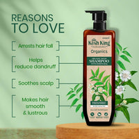 https://cdn.shopify.com/s/files/1/1857/6931/products/omUnbT0kZr.jpg?v=1709621495