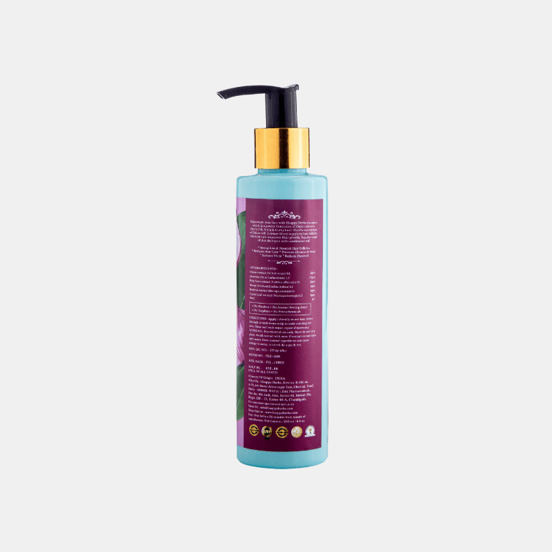 https://cdn.shopify.com/s/files/1/1857/6931/files/onioncurry1_f3178dd6-cdbb-4bba-9e99-a28c16eb62fa.png?v=1759685805