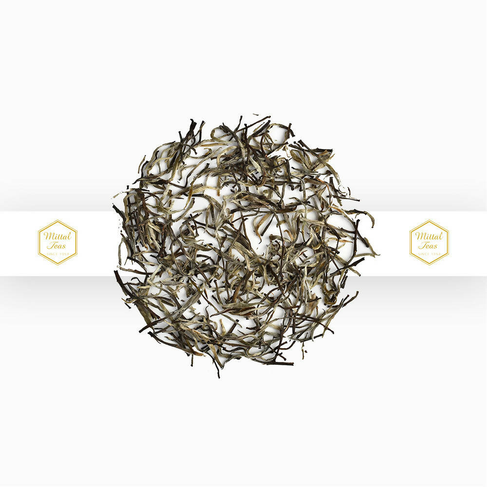 https://cdn.shopify.com/s/files/1/1857/6931/products/oquipJoRrp.jpg?v=1665656892