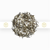 https://cdn.shopify.com/s/files/1/1857/6931/products/oquipJoRrp.jpg?v=1665656892