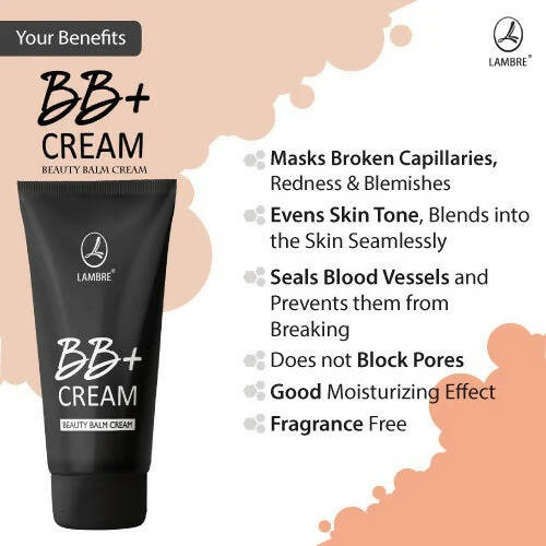 https://cdn.shopify.com/s/files/1/1857/6931/products/p4V3F2z8AL.jpg?v=1662467241