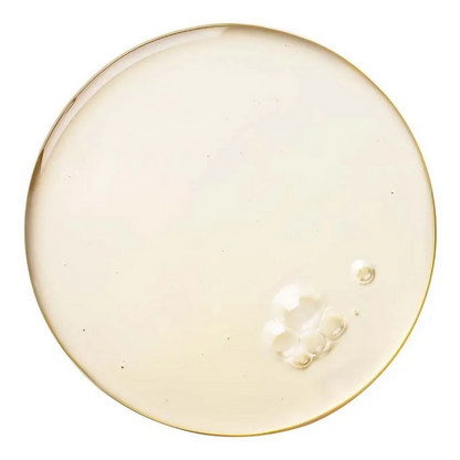 https://cdn.shopify.com/s/files/1/1857/6931/files/p6VnzH5oRb.png?v=1753515617