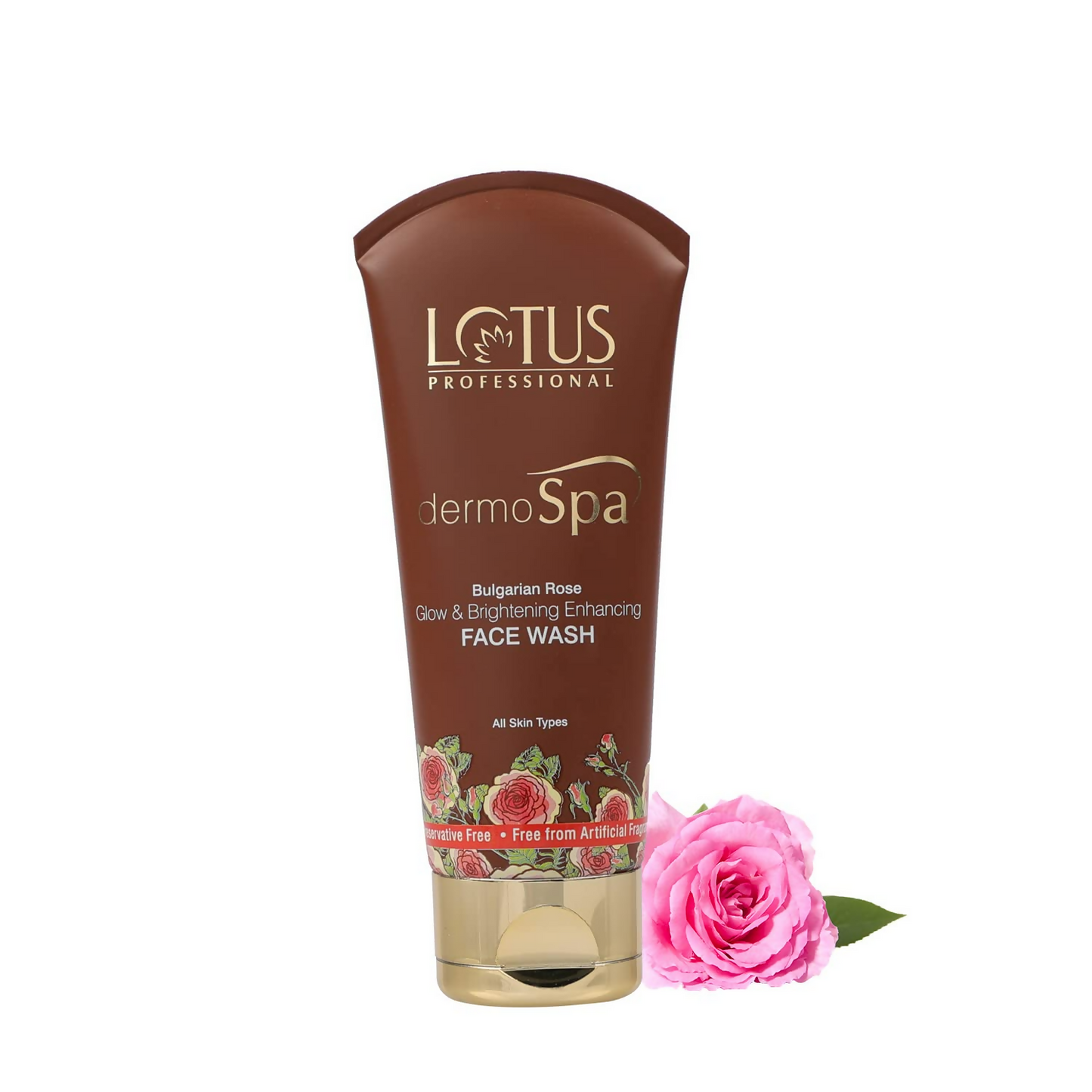https://cdn.shopify.com/s/files/1/1857/6931/files/p7mGybOs0J.png?v=1720524608