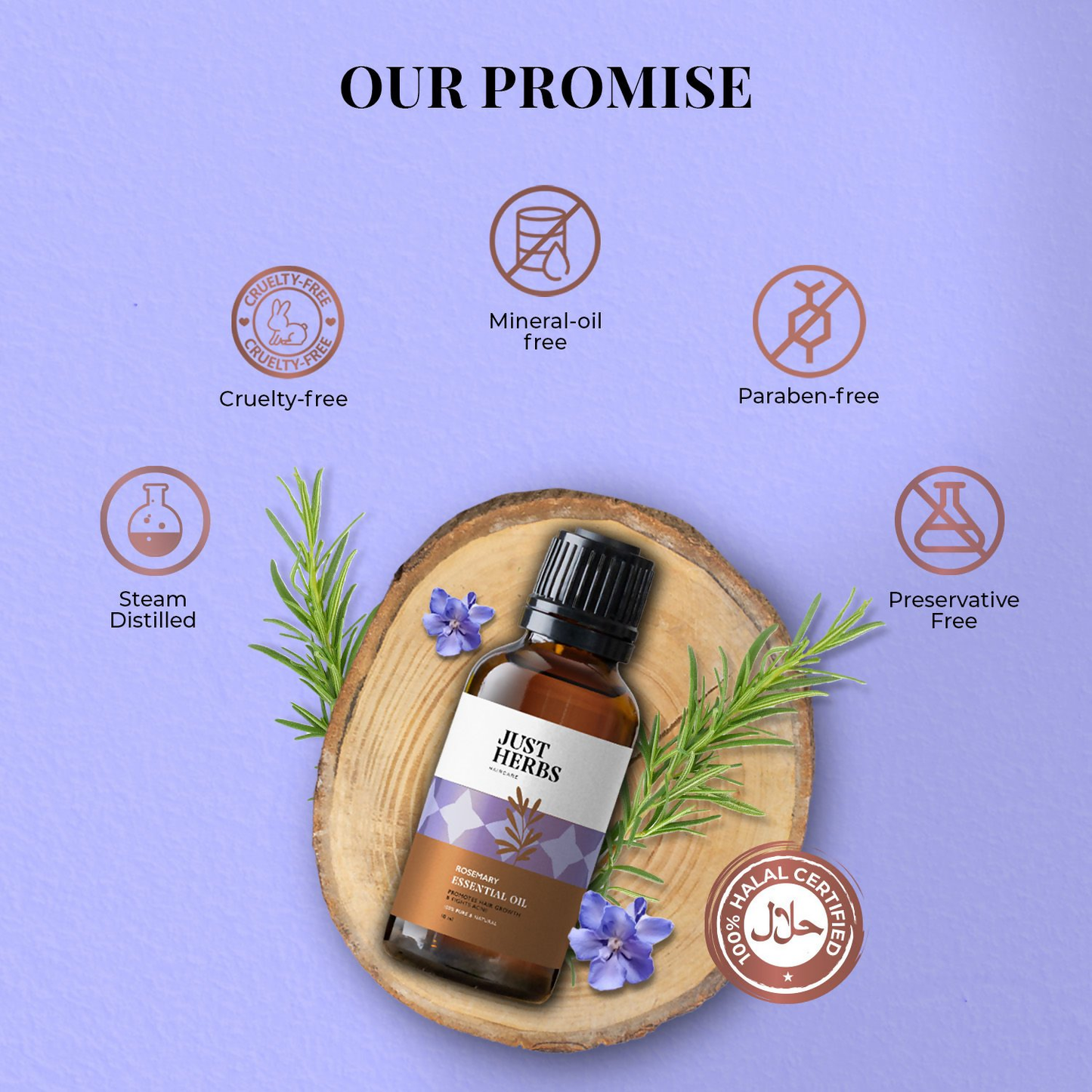 https://cdn.shopify.com/s/files/1/1857/6931/files/pFjPCRKqZ4.png?v=1752759839