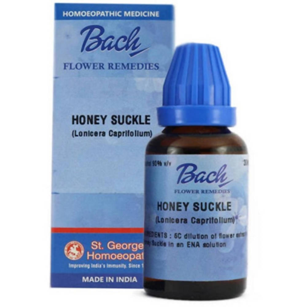 https://cdn.shopify.com/s/files/1/1857/6931/products/pFzpVK27WV.jpg?v=1762313655
