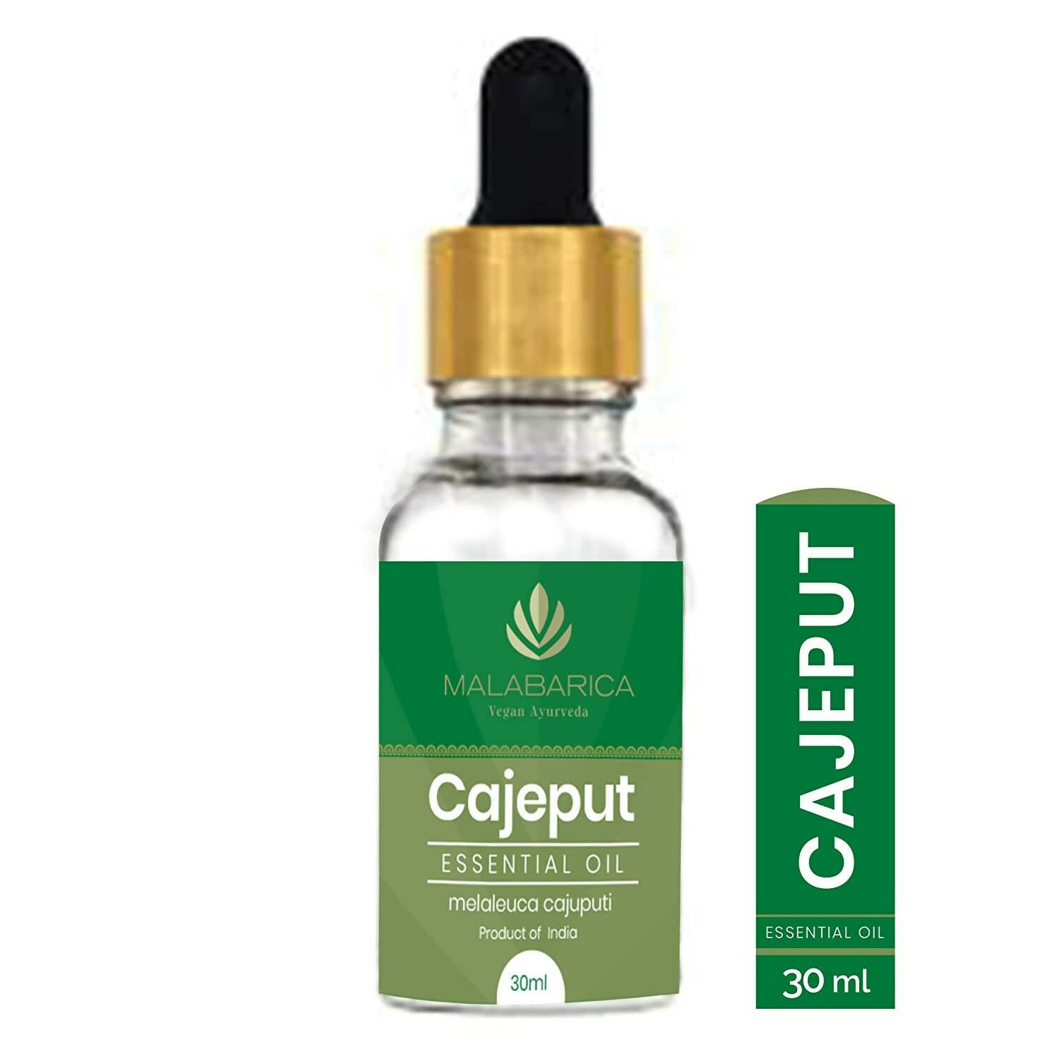 https://cdn.shopify.com/s/files/1/1857/6931/products/pJx6O78n5n.jpg?v=1667890912