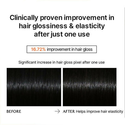 https://cdn.shopify.com/s/files/1/1857/6931/files/pKcpzVTxh5.jpg?v=1731567958