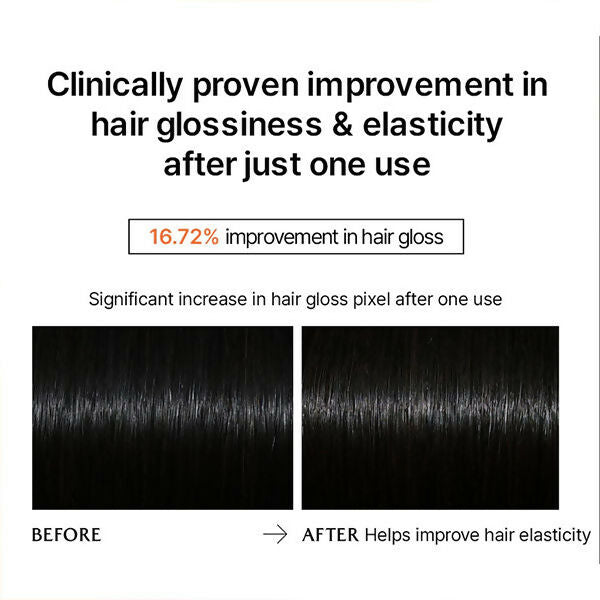 https://cdn.shopify.com/s/files/1/1857/6931/files/pKcpzVTxh5.jpg?v=1731567958