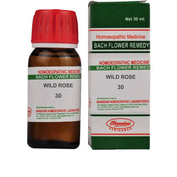 https://cdn.shopify.com/s/files/1/1857/6931/products/pKqAsTpmhv.jpg?v=1762317479