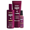 https://cdn.shopify.com/s/files/1/1857/6931/files/pKw1FgbSGo.png?v=1769147630
