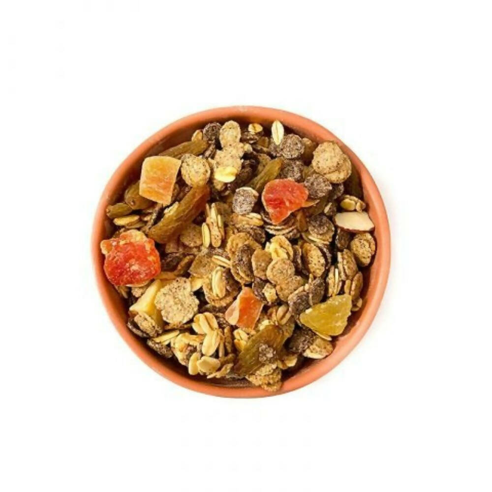https://cdn.shopify.com/s/files/1/1857/6931/products/pN6BNjSYxU.jpg?v=1707828298
