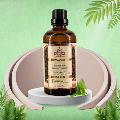 https://cdn.shopify.com/s/files/1/1857/6931/files/pNGp9vdRmJ.png?v=1745241633