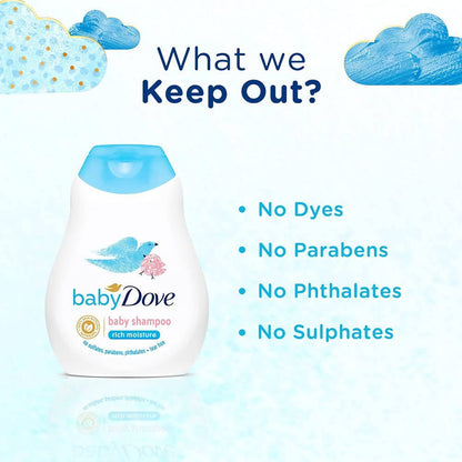 https://cdn.shopify.com/s/files/1/1857/6931/files/pNwEsSSqQs-258890.jpg?v=1736151426