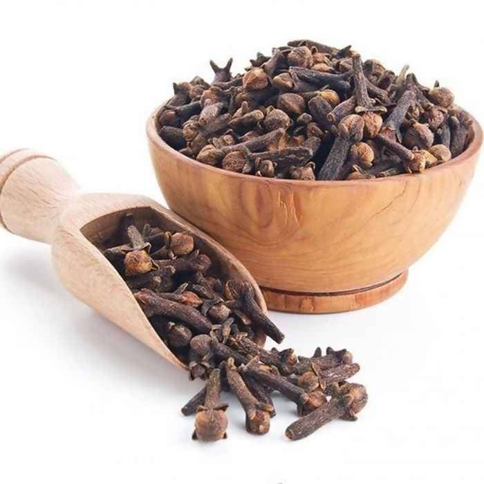 https://cdn.shopify.com/s/files/1/1857/6931/products/pSt6jvClRW.jpg?v=1613907523