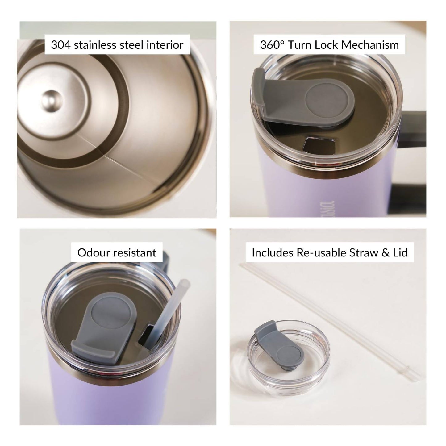 https://cdn.shopify.com/s/files/1/1857/6931/products/pTEvDfwxsb.jpg?v=1706698114