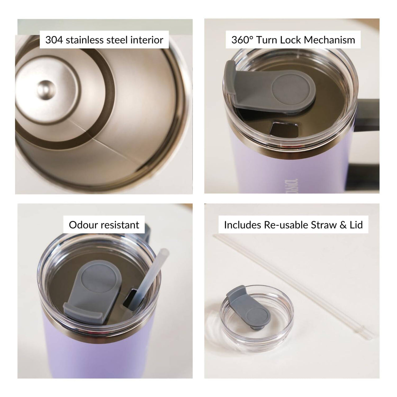 https://cdn.shopify.com/s/files/1/1857/6931/products/pTEvDfwxsb.jpg?v=1706698114