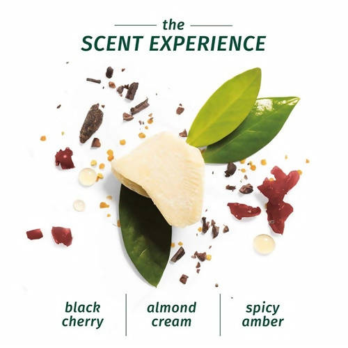 https://cdn.shopify.com/s/files/1/1857/6931/products/pTcomP9mpD.jpg?v=1625797784