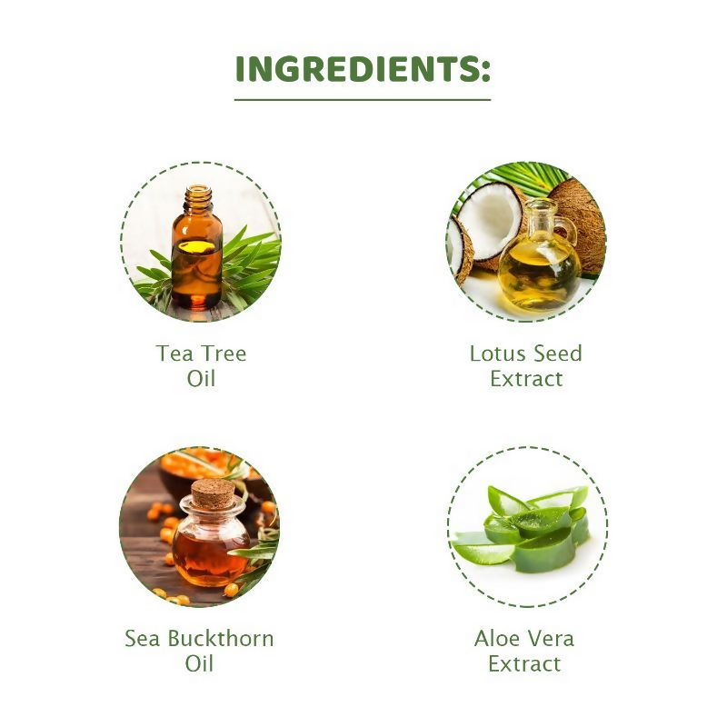 https://cdn.shopify.com/s/files/1/1857/6931/files/pUc5paO79j.png?v=1728480966