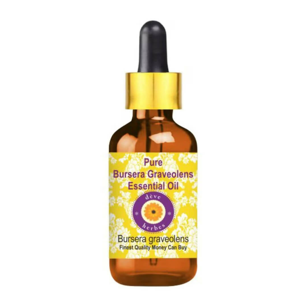 https://cdn.shopify.com/s/files/1/1857/6931/products/pUmS8GZOum.jpg?v=1759384630