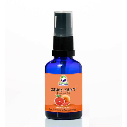 https://cdn.shopify.com/s/files/1/1857/6931/products/pVAU2V2KFD.jpg?v=1762392598