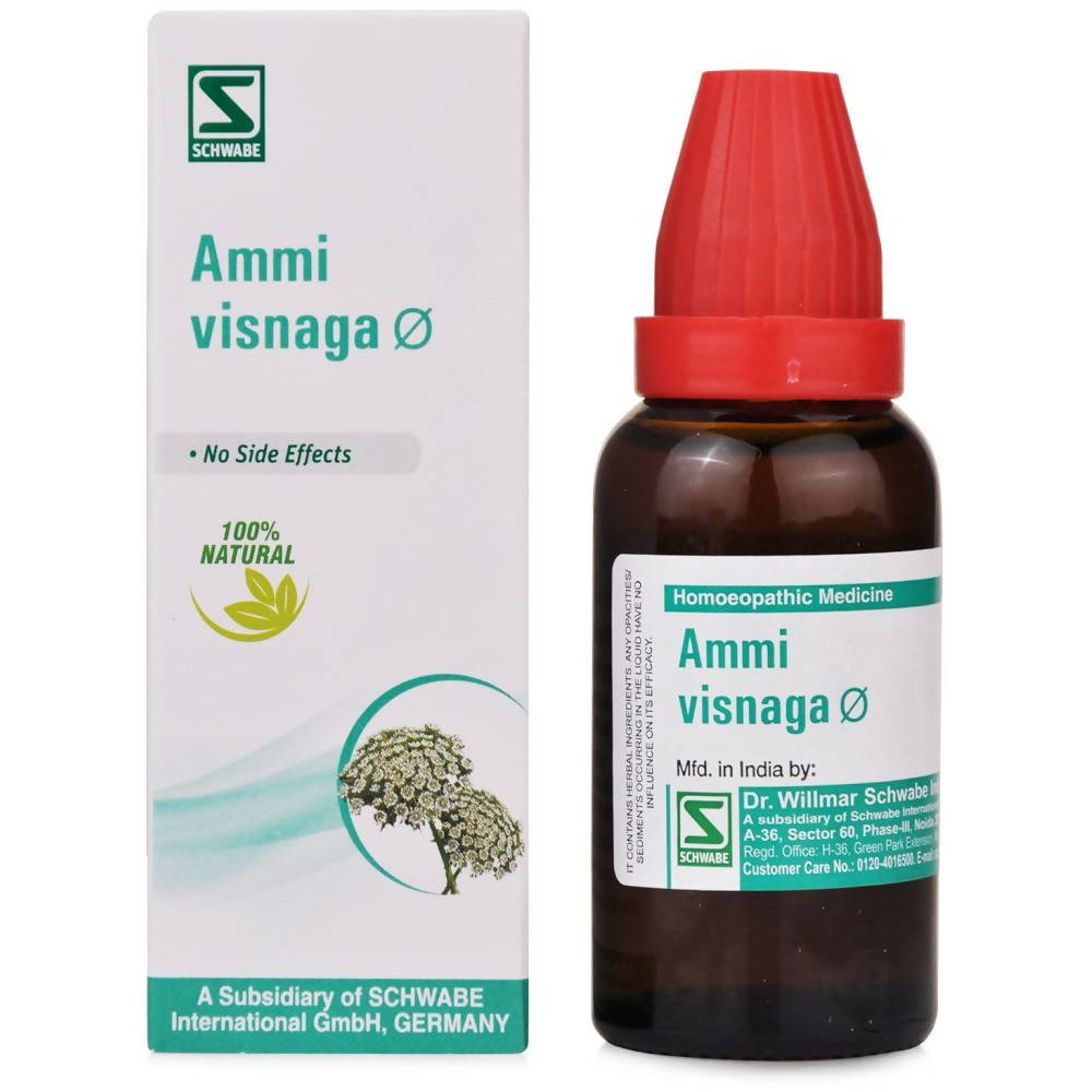 https://cdn.shopify.com/s/files/1/1857/6931/products/pZTsaSmNi9.jpg?v=1637228609
