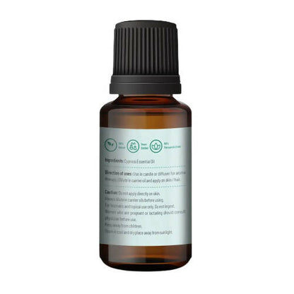 https://cdn.shopify.com/s/files/1/1857/6931/products/paJHsxrbdf.jpg?v=1665052997