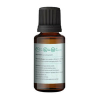 https://cdn.shopify.com/s/files/1/1857/6931/products/paJHsxrbdf.jpg?v=1665052997