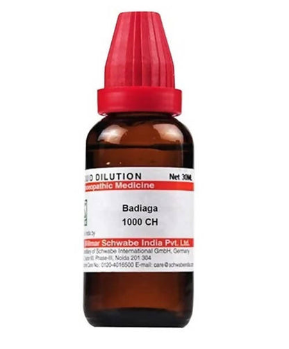 https://cdn.shopify.com/s/files/1/1857/6931/products/pcQJnr2ANq.jpg?v=1640863986