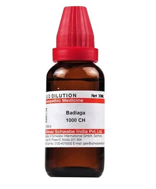 https://cdn.shopify.com/s/files/1/1857/6931/products/pcQJnr2ANq.jpg?v=1640863986