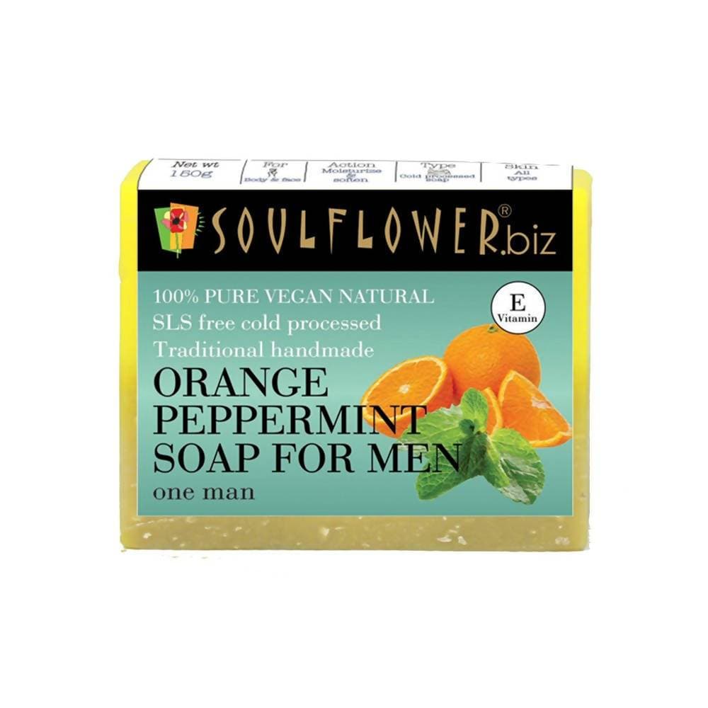 https://cdn.shopify.com/s/files/1/1857/6931/products/pdEOQFCddy.jpg?v=1614911333
