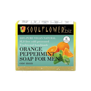 https://cdn.shopify.com/s/files/1/1857/6931/products/pdEOQFCddy.jpg?v=1614911333