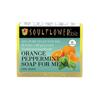 https://cdn.shopify.com/s/files/1/1857/6931/products/pdEOQFCddy.jpg?v=1614911333