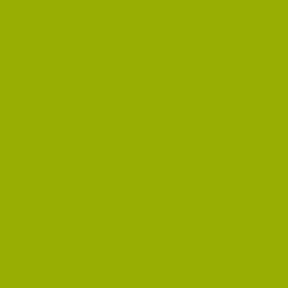 https://cdn.shopify.com/s/files/1/1857/6931/files/pea-green-block-S_cf58c329-b3e7-4e76-ba09-2994869d21d9.jpg?v=1769696074