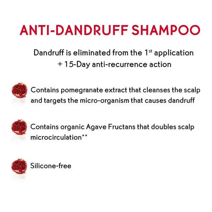 https://cdn.shopify.com/s/files/1/1857/6931/products/pfRZp5YRwQ.jpg?v=1662803707