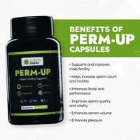 https://cdn.shopify.com/s/files/1/1857/6931/products/phBZDYT96Y.jpg?v=1682587251
