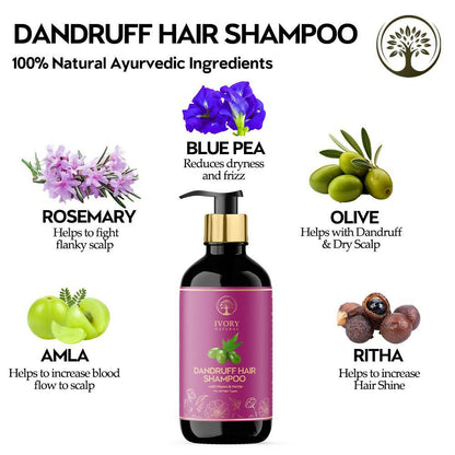 https://cdn.shopify.com/s/files/1/1857/6931/files/phang3Eizd.jpg?v=1717585920