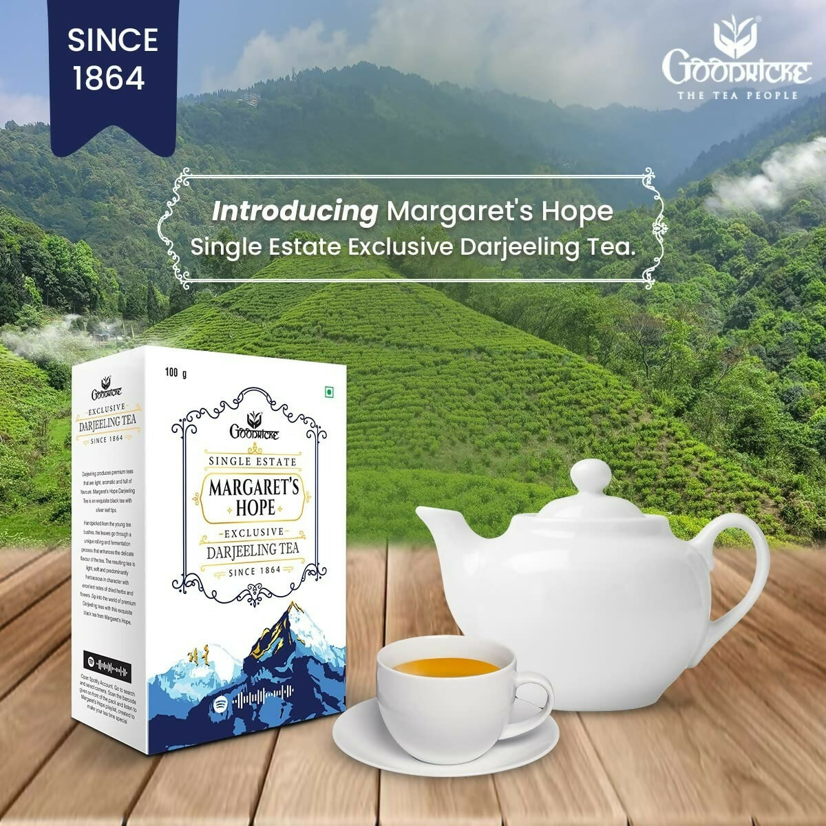https://cdn.shopify.com/s/files/1/1857/6931/files/phlFdATu5O.jpg?v=1711186084