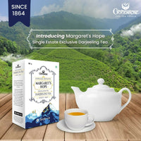 https://cdn.shopify.com/s/files/1/1857/6931/files/phlFdATu5O.jpg?v=1711186084
