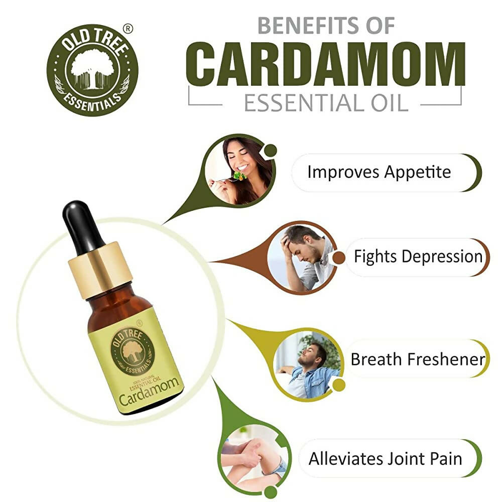 https://cdn.shopify.com/s/files/1/1857/6931/products/pirk3yQqqU.jpg?v=1683366068